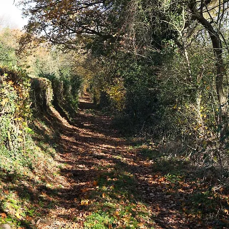 Homestorys Nature - Wood Lounge Eupen