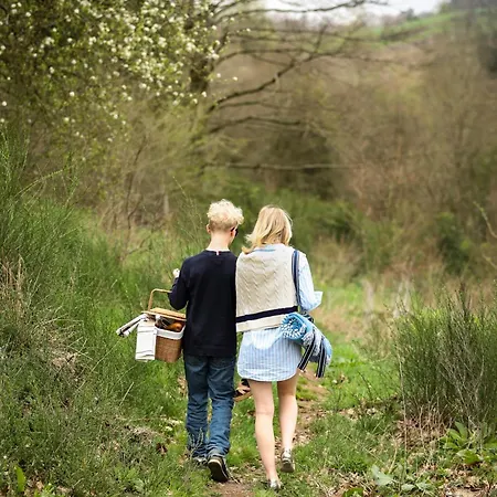Homestorys Nature - Wood Lounge * Eupen
