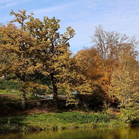 Villa Homestorys Nature - Wood Lounge *