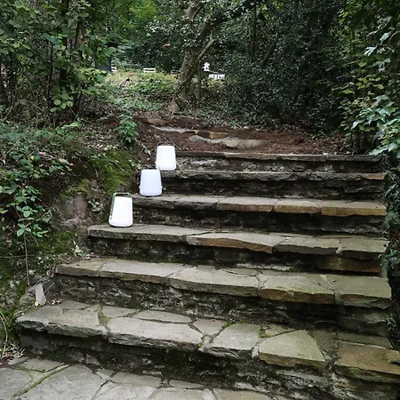 Homestorys Nature - Wood Lounge