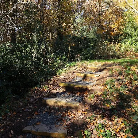 Homestorys Nature - Wood Lounge Willa Eupen