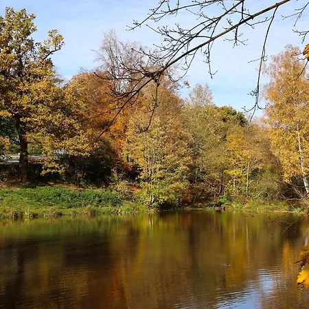 Homestorys Nature - Wood Lounge Villa